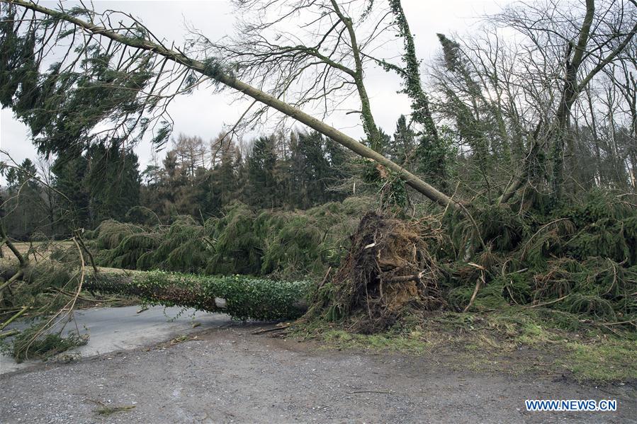 GERMANY-ISERLOHN-STORM-FRIEDERIKE