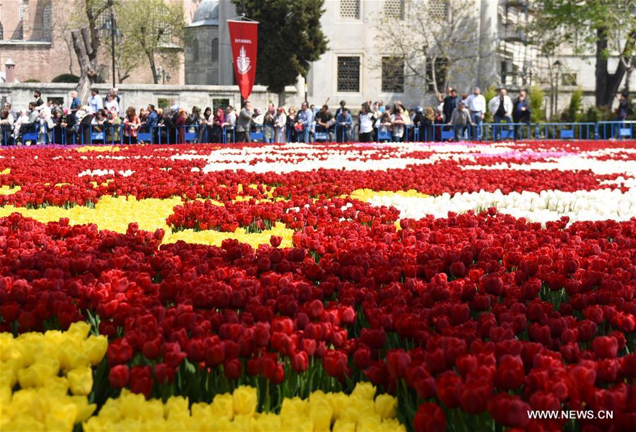 TURKEY-ISTANBUL-TULIP CARPET