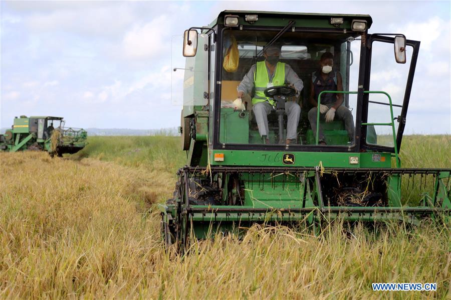 MOZAMBIQUE-GAZA-CHINA-AGRICULTURAL PROJECT