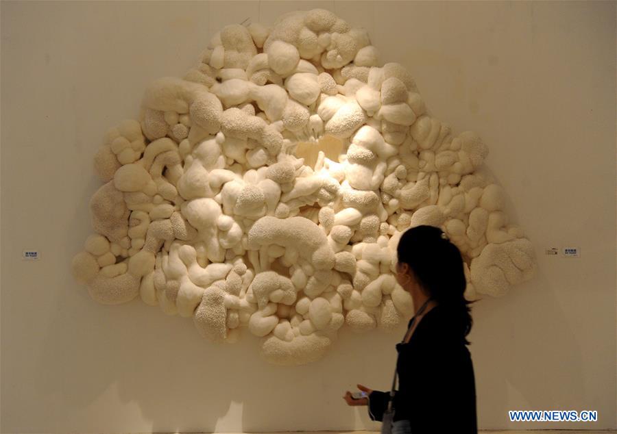 CHINA-SHAANXI-XI'AN-GRADUATE-WORKS-EXHIBITION (CN*)