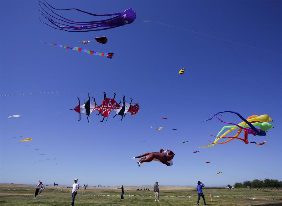 CANADA-VANCOUVER-KITE FESTIVAL