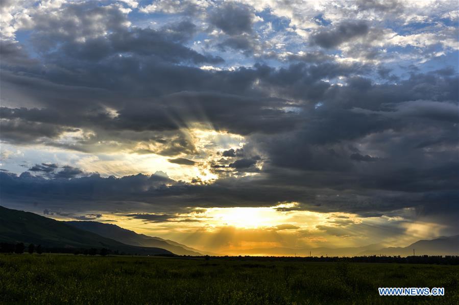 CHINA-XINJIANG-NARAT PRAIRIE (CN)