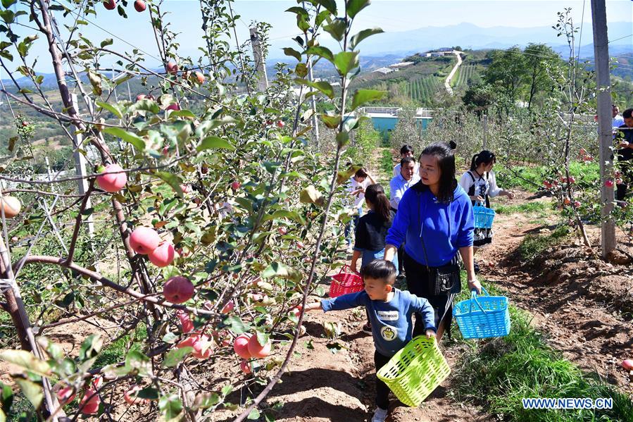 CHINA-HENAN-AGRICULTURE-FRUIT INDUSTRY (CN)