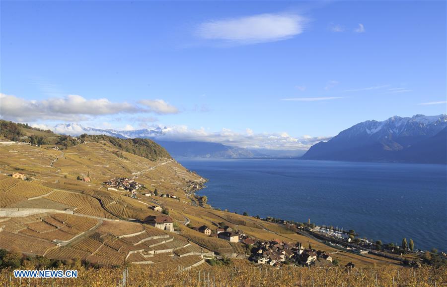 SWITZERLAND-LAVAUX-VINEYARDS-AUTUMN SCENERY