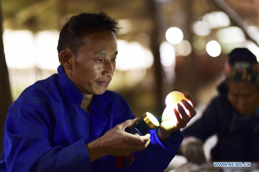 #CHINA-GUIZHOU-POVERTY ALLEVIATION-DUCK FARMING (CN)