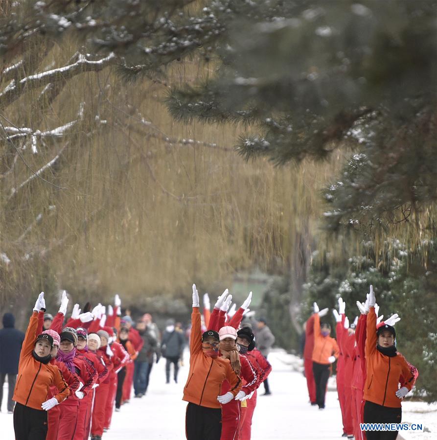 CHINA-SHENYANG-SNOWFALL(CN)