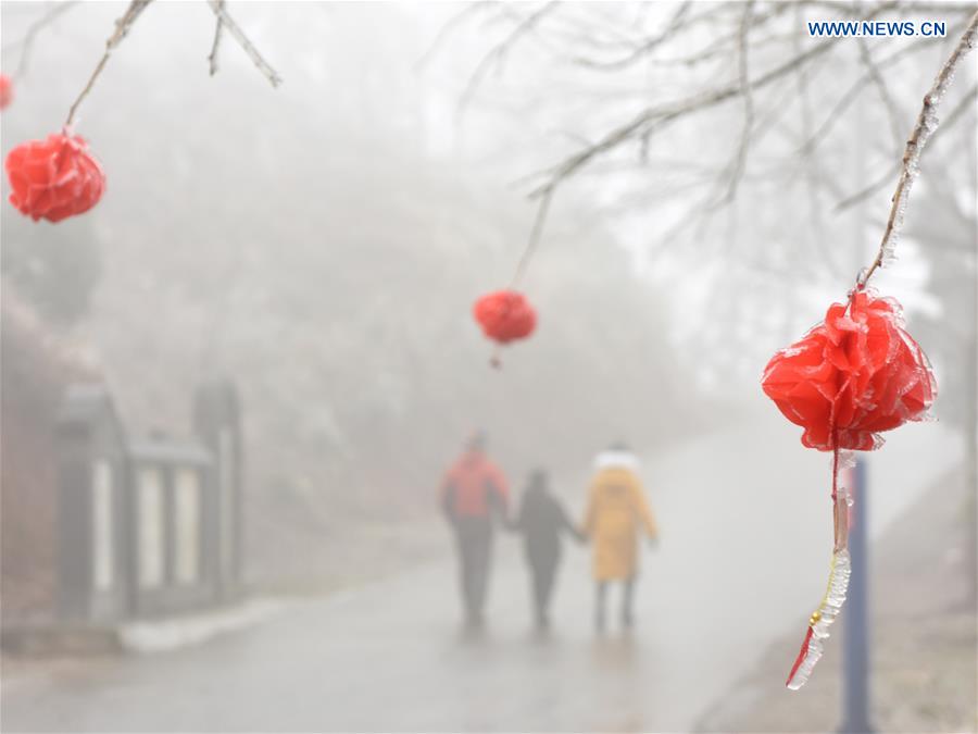 CHINA-HUNAN-SHUANGFENG-RIME ICE (CN)