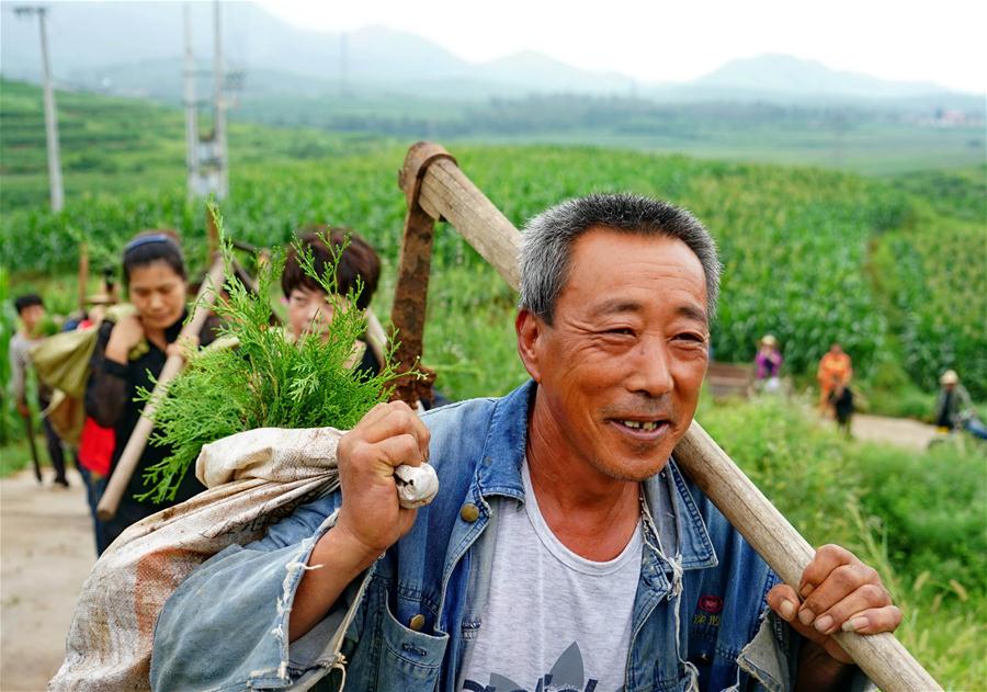 Xinhua Headlines: NASA satellite data verify China's contribution to global greening efforts 