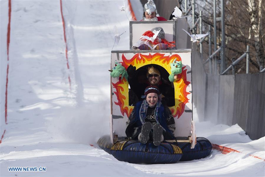 (SP)RUSSIA-MOSCOW-SLED RACE