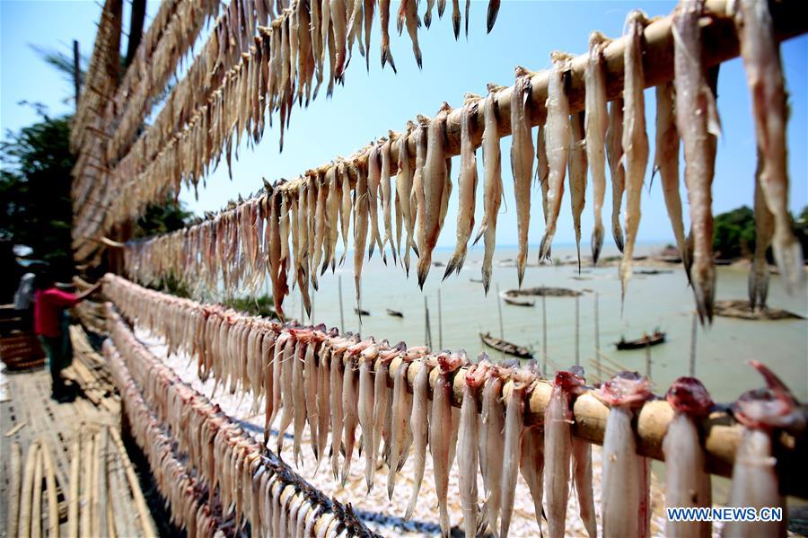 MYANMAR-THANBYUZAYAT-DRYING FISH