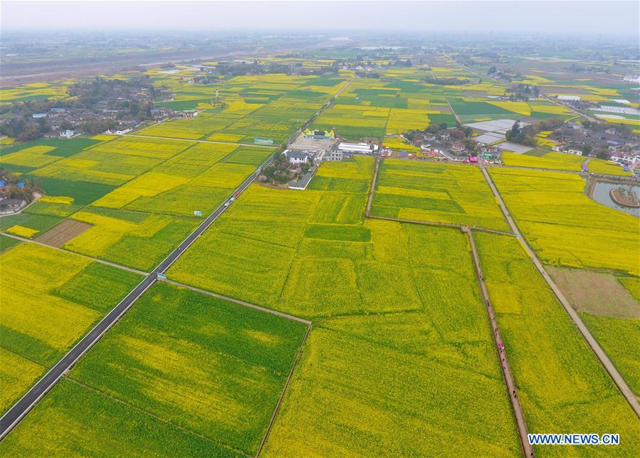 CHINA-SICHUAN-COLE FLOWERS-TOURISM (CN)