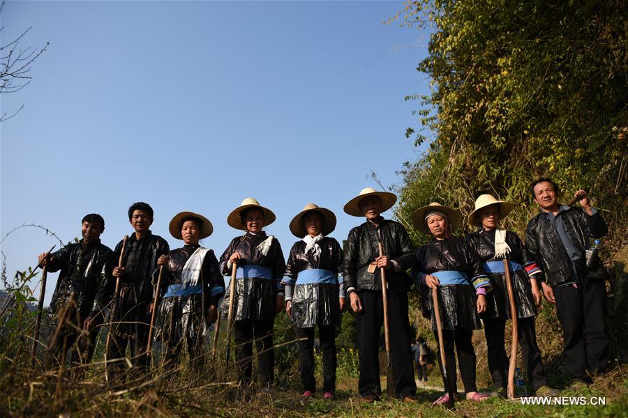 CHINA-GUIZHOU-LIPING-TREE PLANTING (CN)