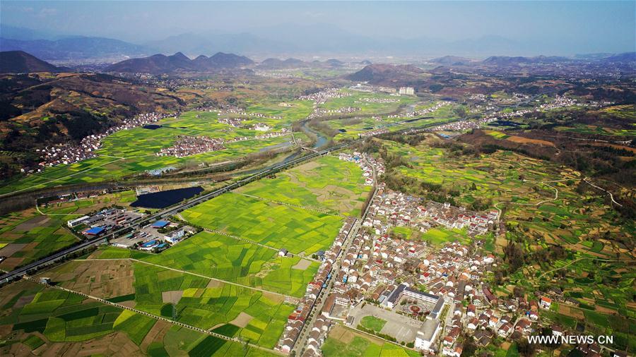 CHINA-SHAANXI-COLE FLOWERS