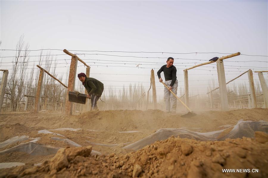 CHINA-CHUNFEN-FARM WORK(CN)