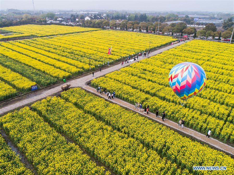 ZHEJIANG-HUZHOU-COLE FLOWER-TOURISM FESTIVAL (CN)