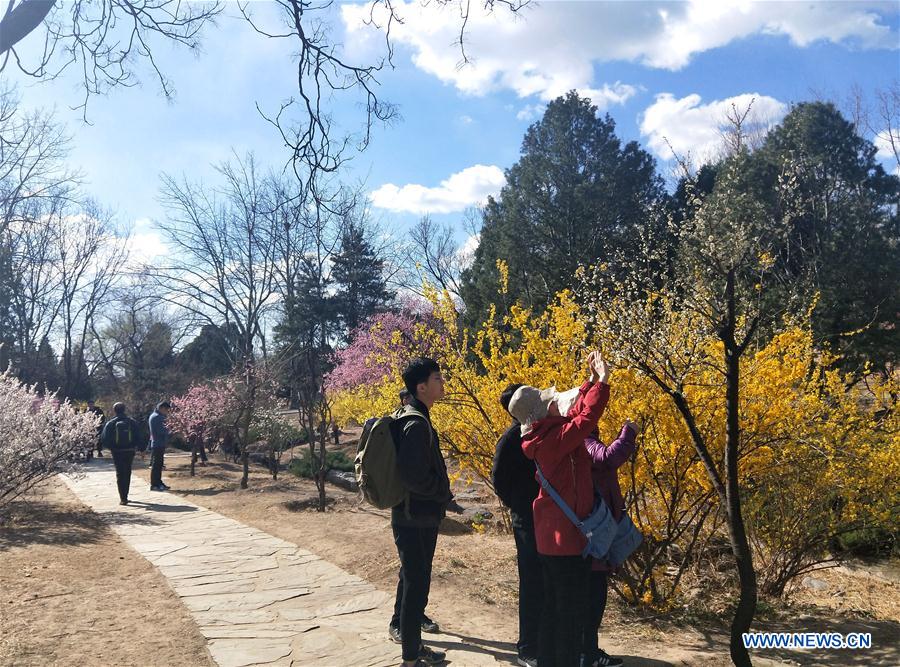 (Beijingcandid)CHINA-BEIJING-SPRING (CN)