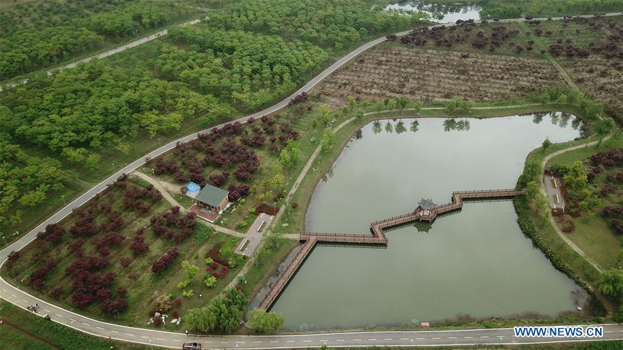 CHINA-ANHUI-FEIXI-SAPLING INDUSTRY (CN)