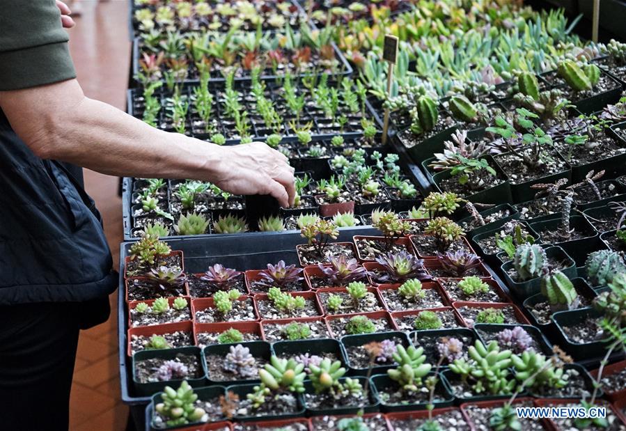 U.S.-COSTA MESA-SPRING GARDEN SHOW