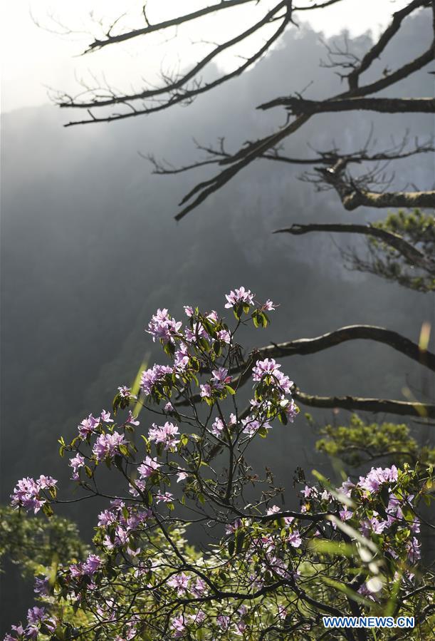 CHINA-SHAANXI-HANZHONG-SCENERY (CN)