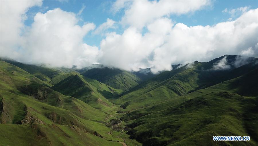 CHINA-GANSU-XIAHE-GRASSLAND-SCENERY (CN)