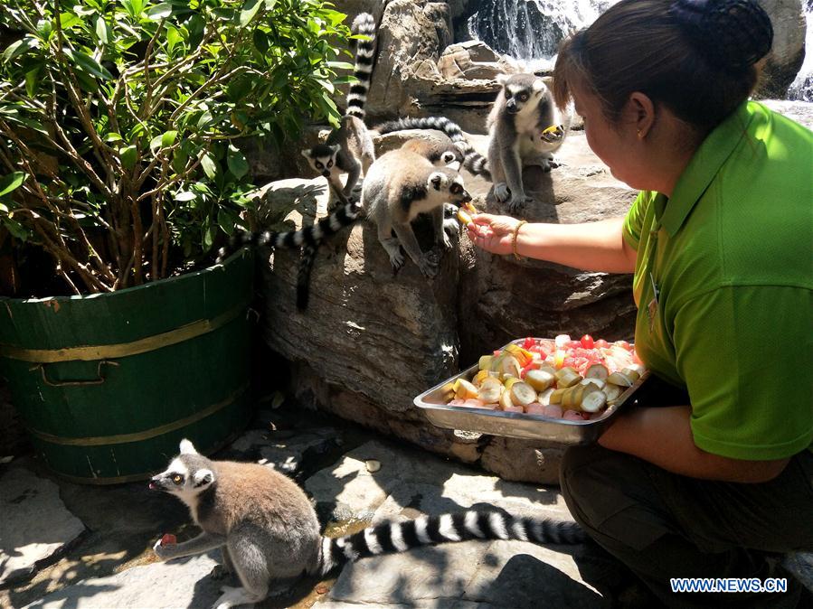 (BeijingCandid)CHINA-BEIJING-SUMMER-ANIMAL (CN)