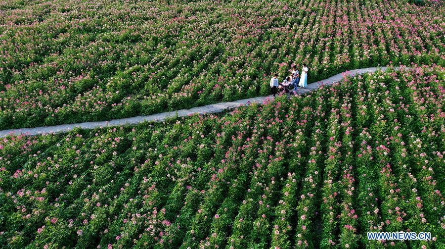 CHINA-SHAANXI-FLOWERS-TOURISM(CN)