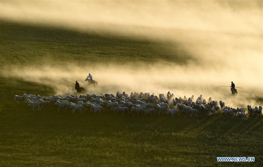 CHINA-INNER MONGOLIA-HORSE LASSOING (CN)