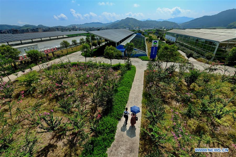 CHINA-FUJIAN-PV POWER-AGRICULTURAL GARDEN (CN)