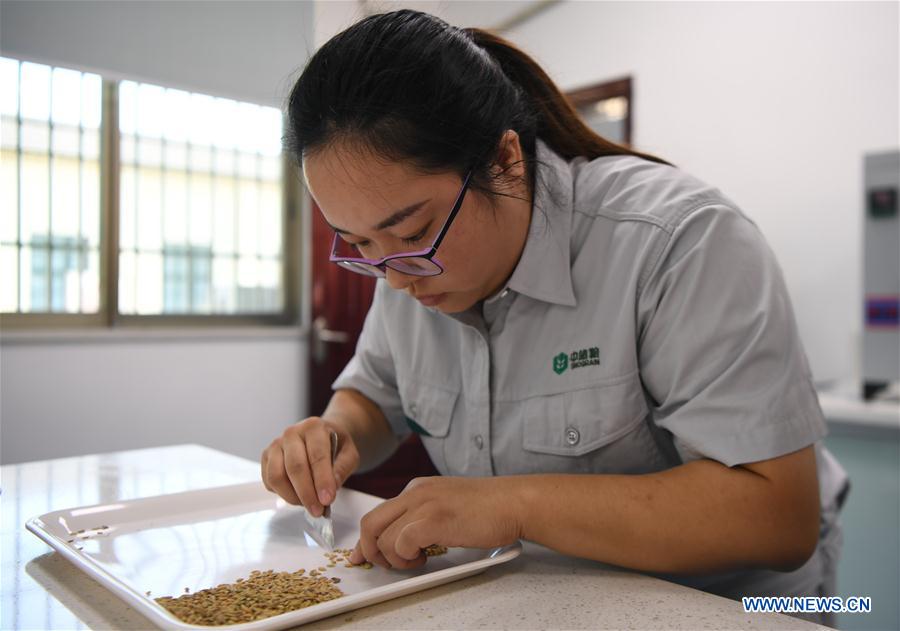 CHINA-HUNAN-NINGXIANG-GRAIN STOREHOUSE (CN)