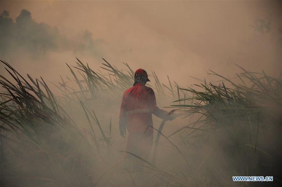 INDONESIA-SOUTH SUMATRA-PEAT LAND FIRE