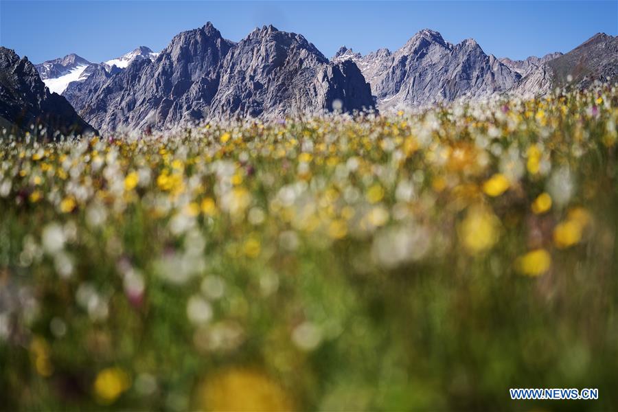 (EcoChina)CHINA-HORTICULTURAL EXPO-QINGHAI (CN)