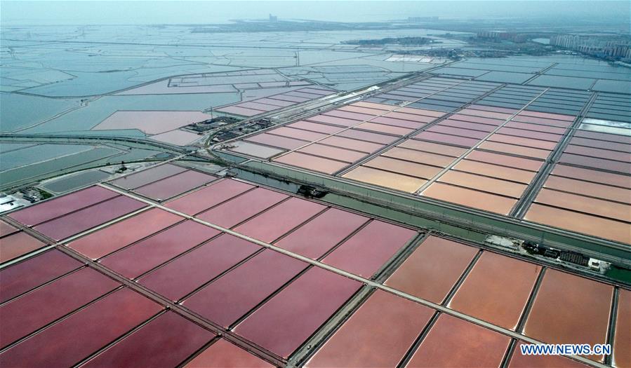 CHINA-TIANJIN-SALT MINE-SCENERY (CN)