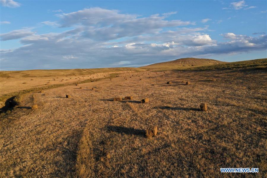 CHINA-INNER MONGOLIA-GRASSLAND-SCENERY (CN)