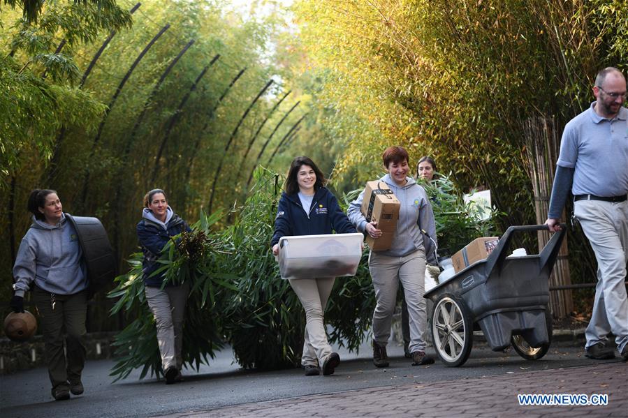 U.S.-WASHINGTON D.C.-CHINA-GIANT PANDA BEI BEI-DEPARTURE