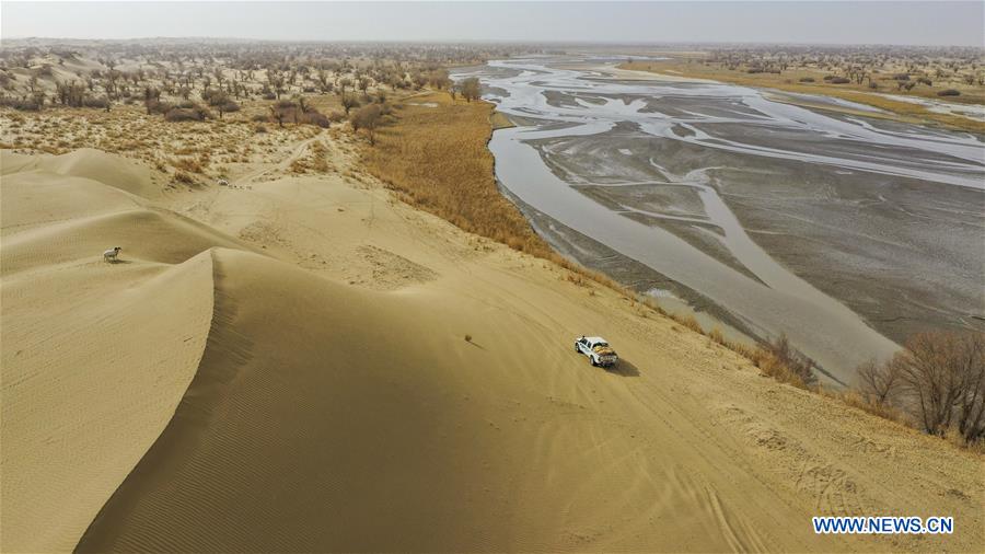 CHINA-XINJIANG-TAKLIMAKAN DESERT-RESETTLEMENT (CN)