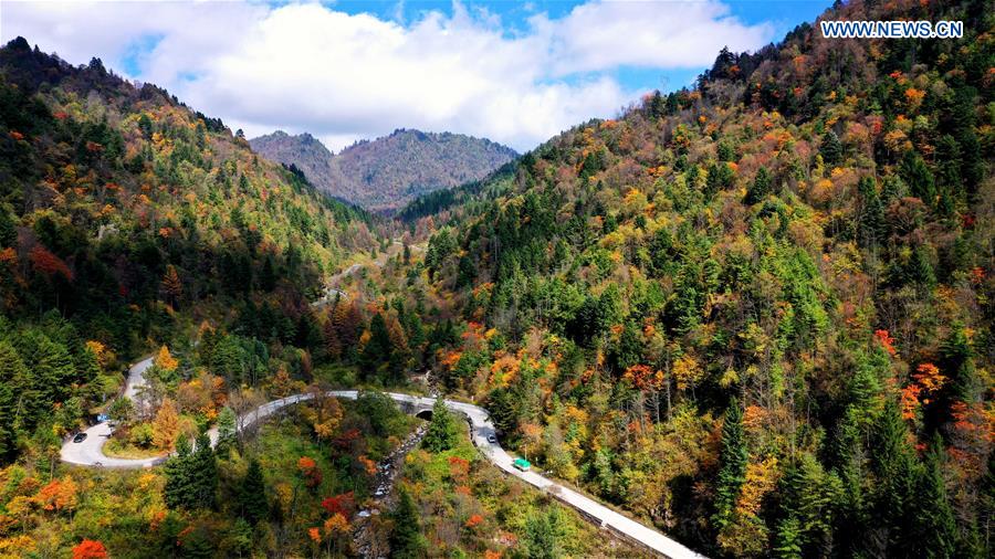 CHINA-SHAANXI-QINLING MOUNTAINS-SCENERY (CN)