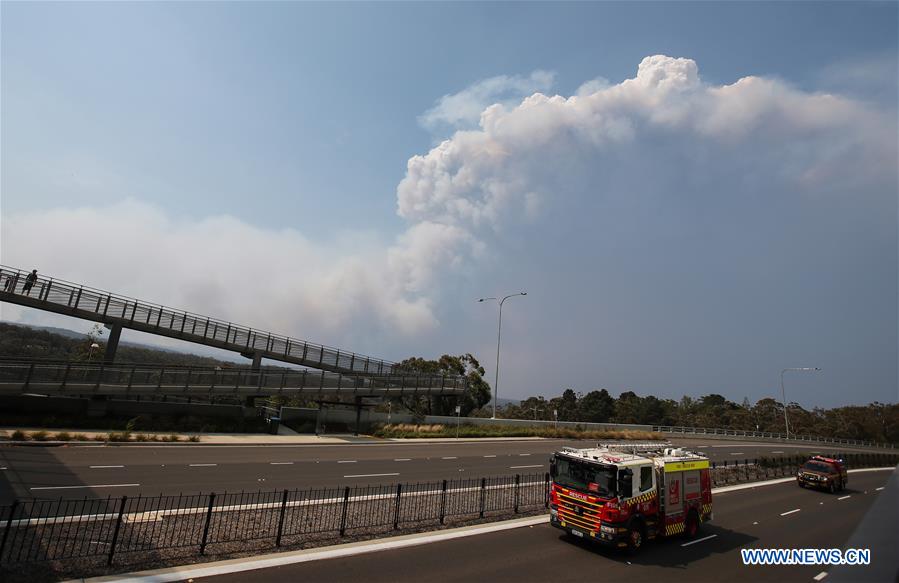 AUSTRALIA-SYDNEY-NEW SOUTH WALES-BUSHFIRE