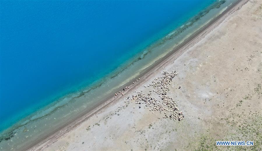 CHINA-TIBET-YAMZBOG YUMCO LAKE-SCENERY (CN)