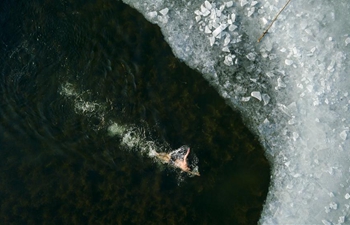 Winter swimming lovers swim near Baiyangdian dock in Xiongan New Area