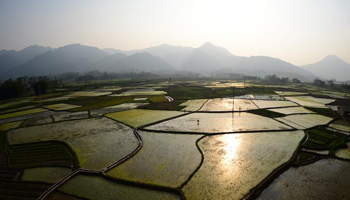 Scenery of farmlands in S China's Yao ethnic township