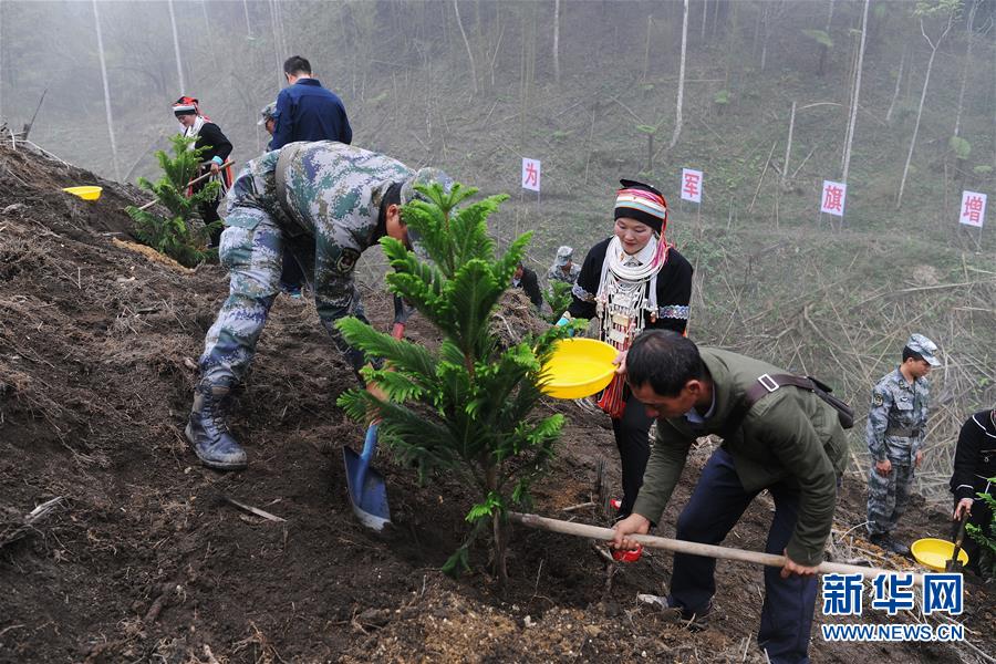 （图文互动）（6）和平年代，离死神最近的人——南部战区陆军云南扫雷大队边境扫雷排爆记事