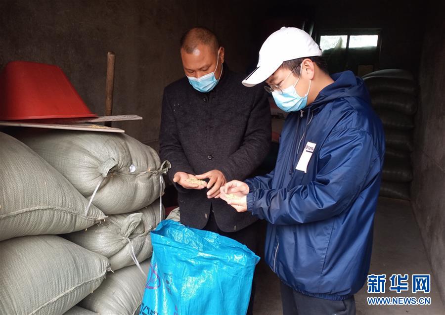 （新华全媒头条·图文互动）（2）春色最浓在田间——来自全国春耕备耕的现场观察