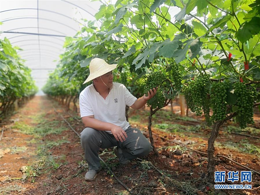 （新华全媒头条·图文互动）（11）春色最浓在田间——来自全国春耕备耕的现场观察