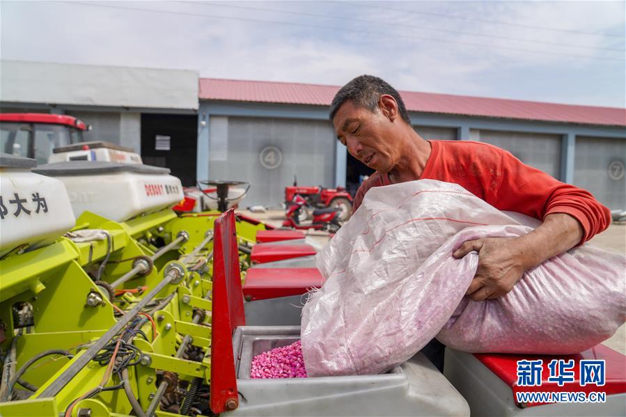 （在习近平新时代中国特色社会主义思想指引下——新时代新作为新篇章·习近平总书记关切事·图文互动）（8）让每一寸耕地都成为丰收的沃土——我国加强耕地?；ね平?ldquo;藏粮于地”