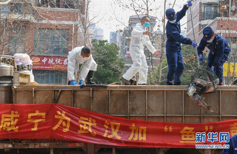 （新华全媒头条·图文互动）（12）从人民中汲取磅礴力量——习近平总书记同出席2020年全国两会人大代表、政协委员共商国是纪实