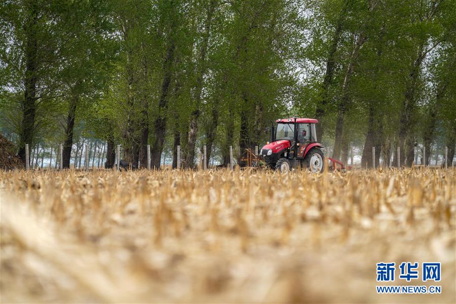 （在习近平新时代中国特色社会主义思想指引下——新时代新作为新篇章·习近平总书记关切事·图文互动）（9）让每一寸耕地都成为丰收的沃土——我国加强耕地?；ね平?ldquo;藏粮于地”