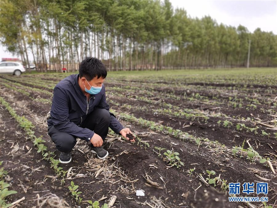 （在习近平新时代中国特色社会主义思想指引下——新时代新作为新篇章·习近平总书记关切事·图文互动）（6）让每一寸耕地都成为丰收的沃土——我国加强耕地?；ね平?ldquo;藏粮于地”