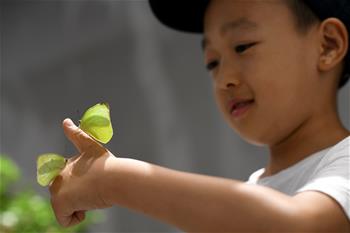 西安：暑期探索昆虫世界