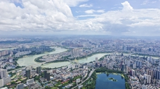 雨后城市湿地美